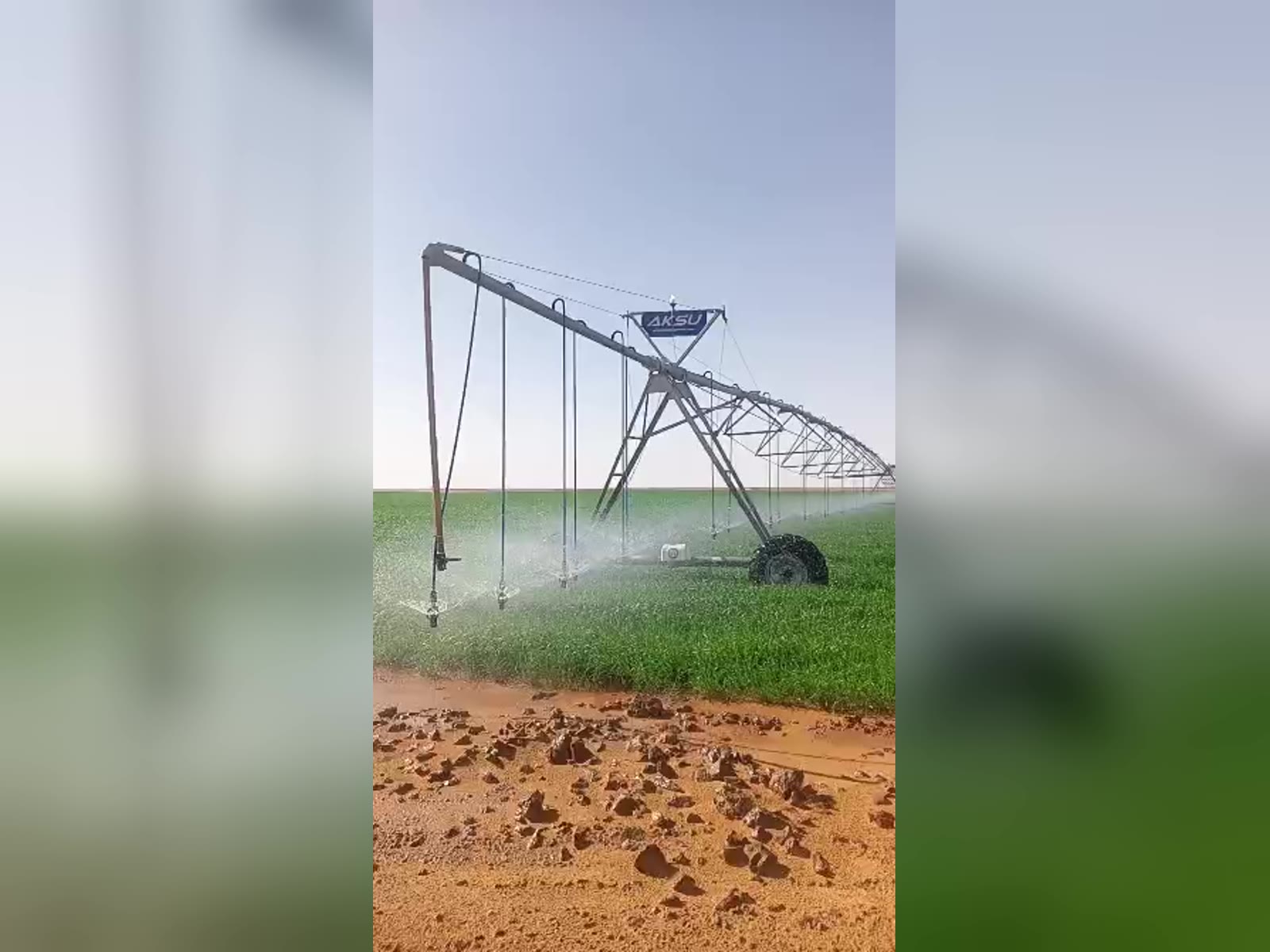 نظام ري محوري مركَّب في تيميمون بالجزائر، يروي محصولاً حبياً أخضر على حافة الصحراء