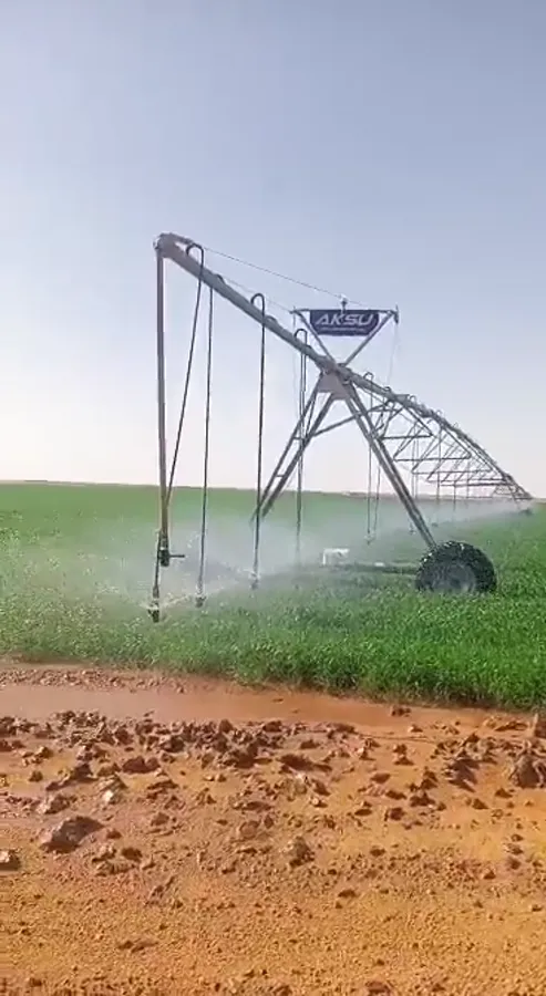An AksuPivot machine watering a green cereal crop on the desert edge at Timimoun, Algeria