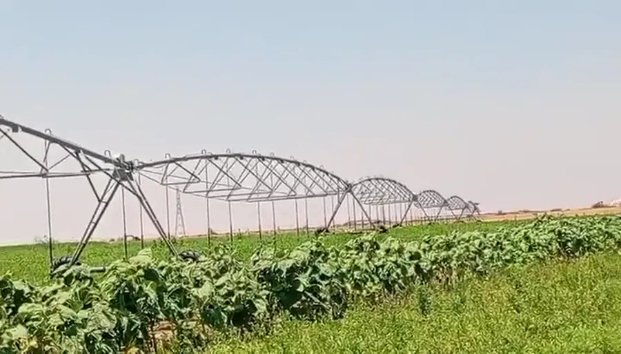 Spans and drive towers of an AksuPivot machine over an established green crop in Egypt