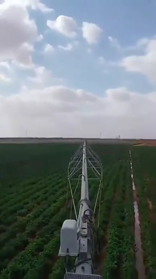 Looking along the spans of an AksuPivot machine over a green row crop in Egypt