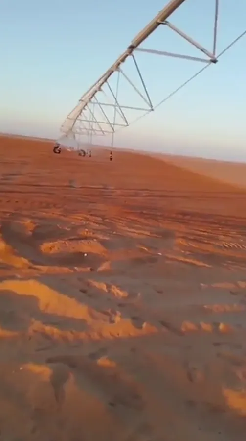 Bare desert ground with wheel tracks running toward a hazy horizon in Egypt